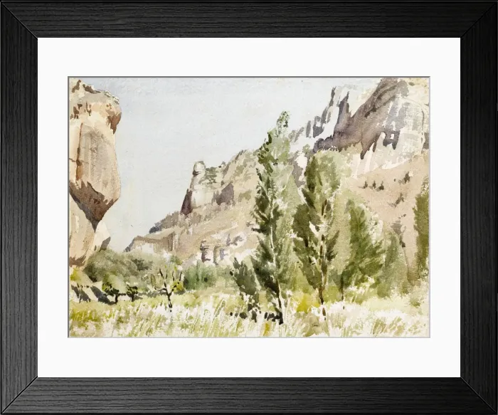 Framed Print : Rocky landscape with trees and grass
