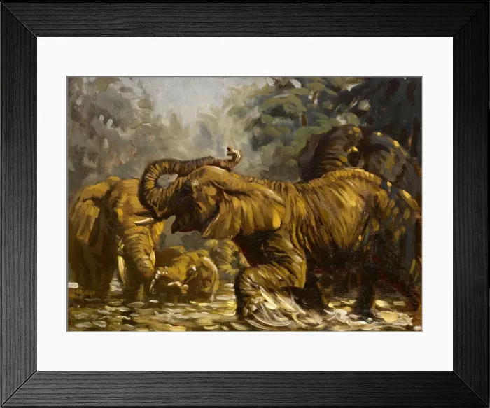 Framed Print : Elephants in the water Framed Print : Elephants in the water