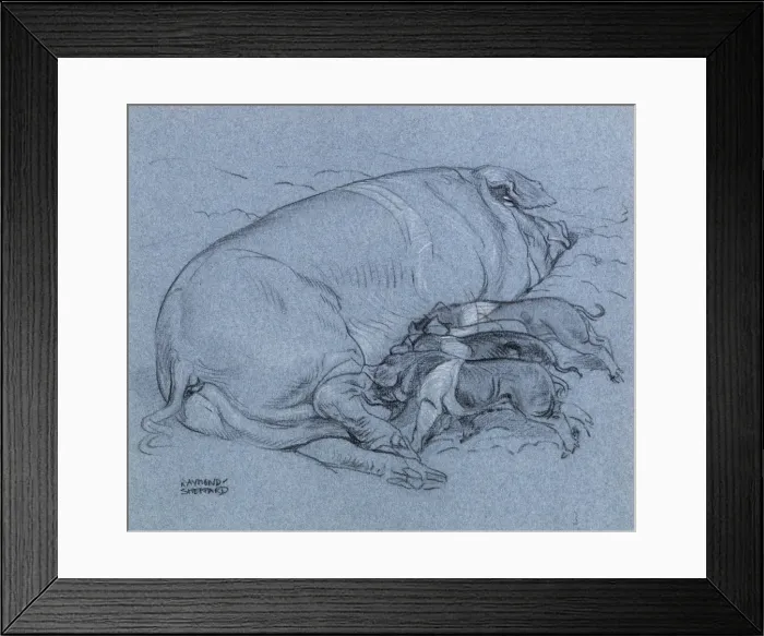 Framed Print : Sketch of a sow with piglets feeding Framed Print : Sketch of a sow with piglets feeding