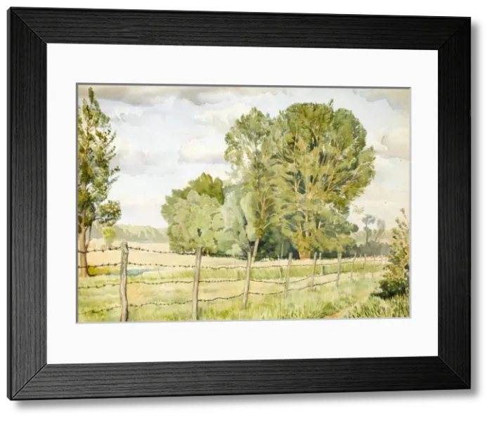 Framed Print : Country scene with trees and fields Framed Print : Country scene with trees and fields