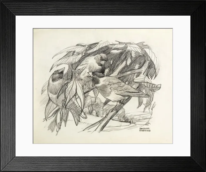 Framed Print : Three birds on a branch Framed Print : Three birds on a branch