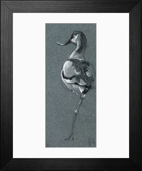 Framed Print : Study of a bird Framed Print : Study of a bird