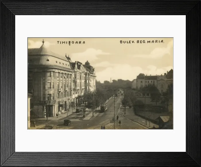 Framed Print : Queen Maria Boulevard - Timisoara - Romania Framed Print : Queen Maria Boulevard - Timisoara - Romania