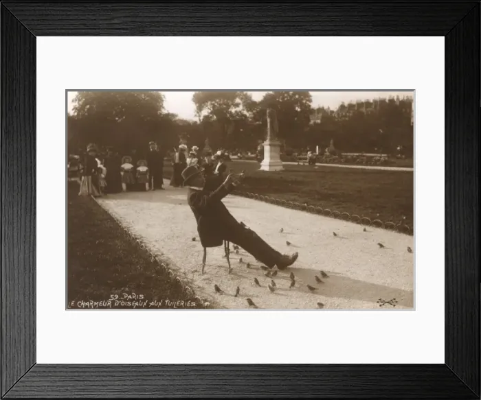 Framed Print : Bird charmer of the Tuileries Gardens Framed Print : Bird charmer of the Tuileries Gardens
