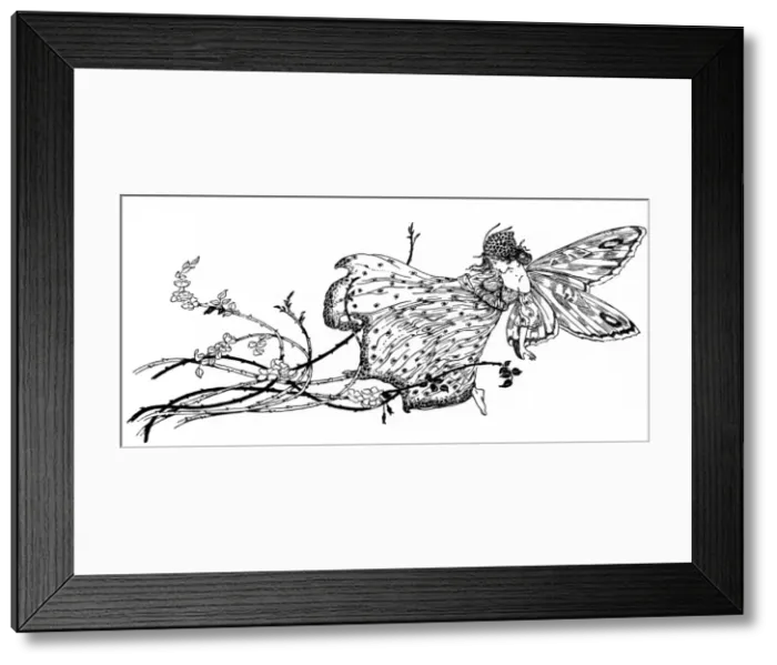 Framed Print : Fairy on a branch Framed Print : Fairy on a branch
