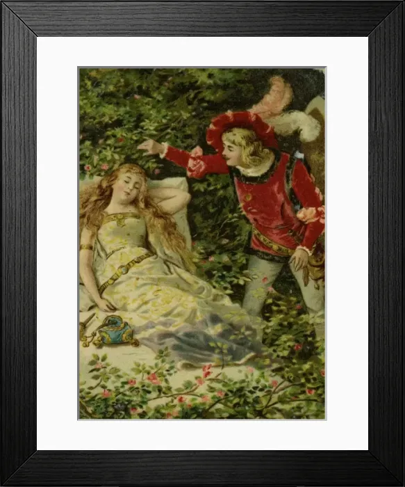 Framed Print : The Sleeping Beauty Framed Print : The Sleeping Beauty