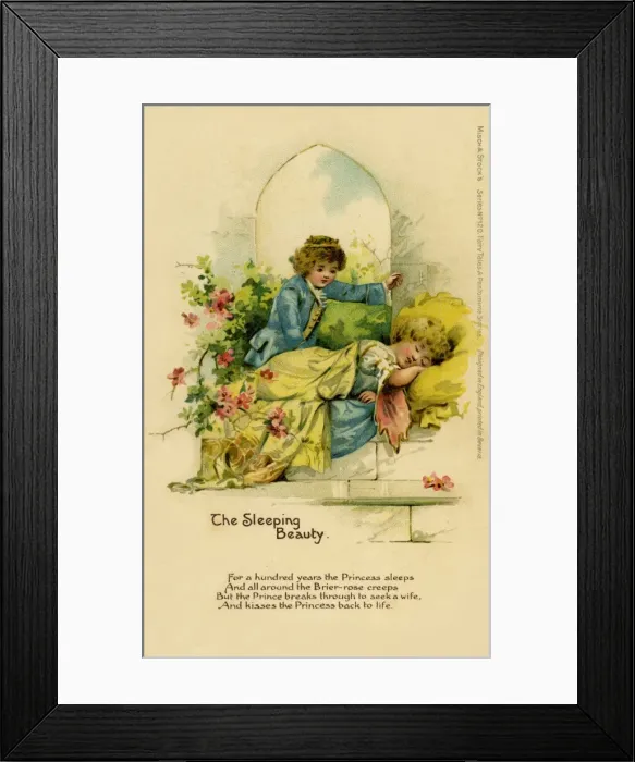 Framed Print : The Sleeping Beauty Framed Print : The Sleeping Beauty