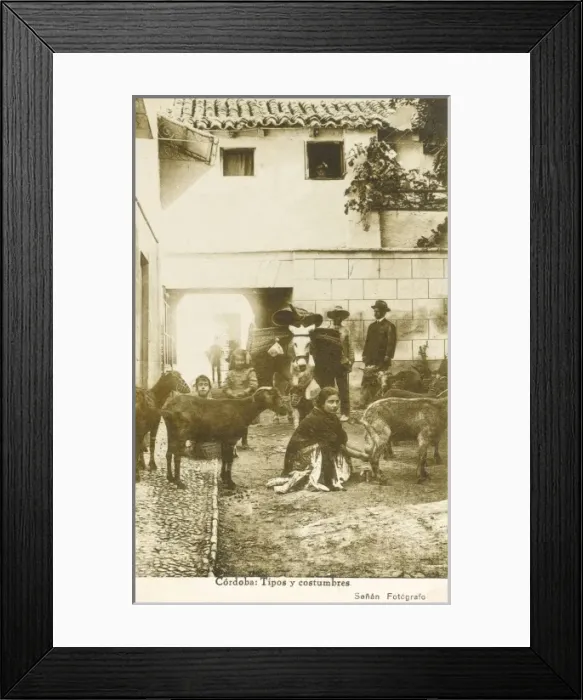 Framed Print : Spain - Cordoba - Local People and animals Framed Print : Spain - Cordoba - Local People and animals
