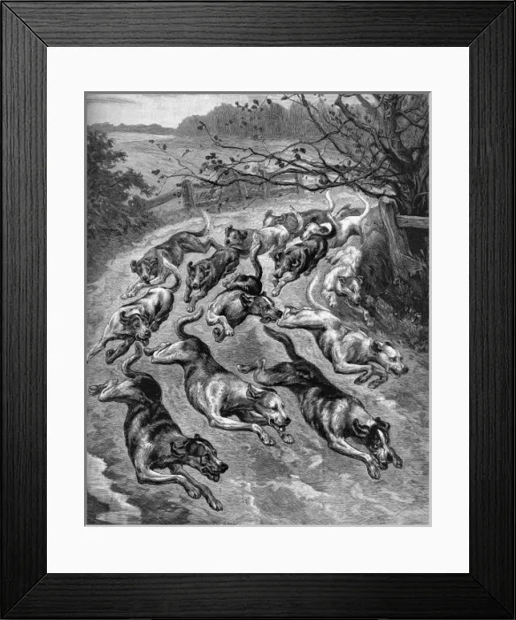 Framed Print : Hounds in Full Cry Framed Print : Hounds in Full Cry