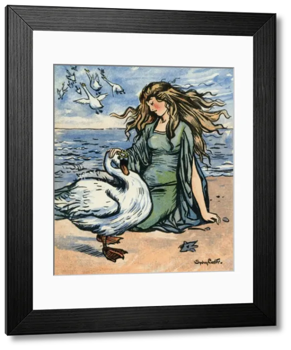 Framed Print : The Wild Swans Framed Print : The Wild Swans