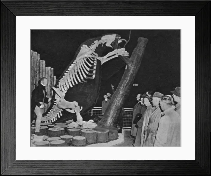 Framed Print : Picture No. 10507785 Framed Print : Picture No. 10507785