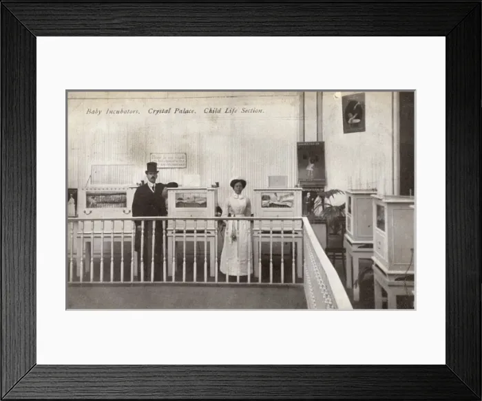 Framed Print : Baby Incubators - Crystal Palace Framed Print : Baby Incubators - Crystal Palace