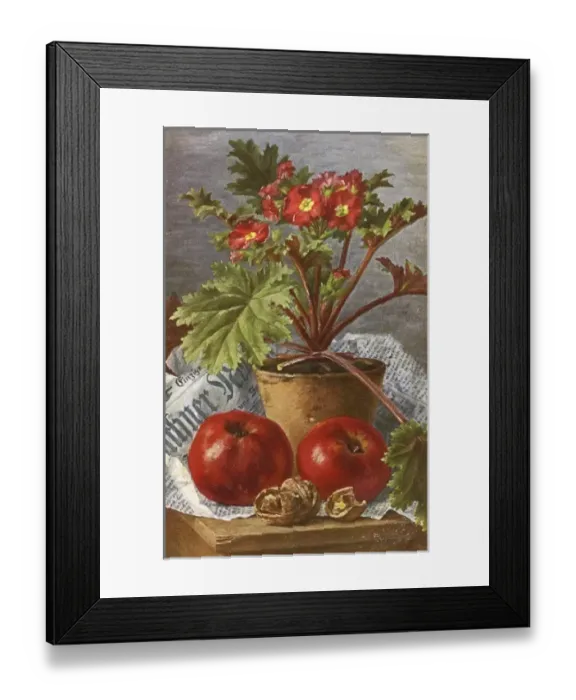 Framed Print : A pot of Primula flowers and apples Framed Print : A pot of Primula flowers and apples