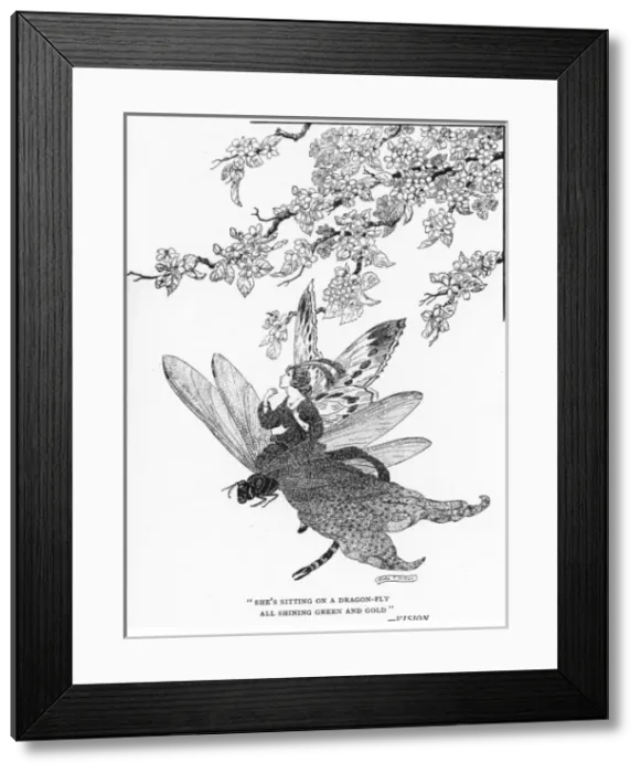 Framed Print : Shes sitting on a dragonfly Framed Print : Shes sitting on a dragonfly