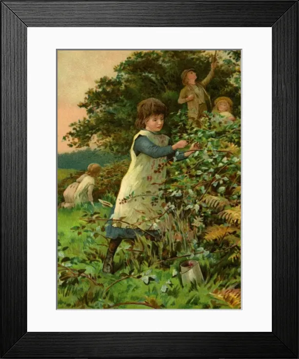 Framed Print : Children blackberrying Framed Print : Children blackberrying