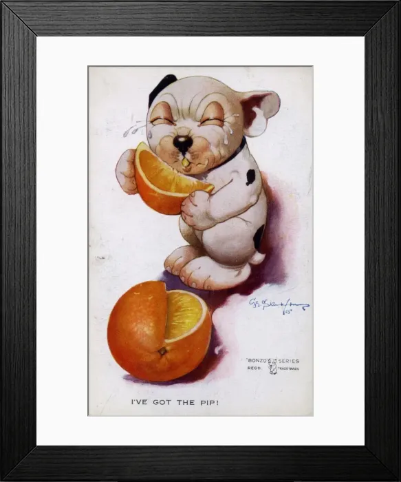 Framed Print : Bonzo eating an orange Framed Print : Bonzo eating an orange
