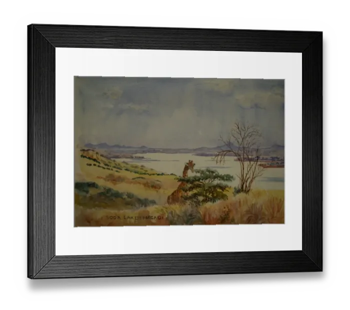 Framed Print : Soda Lake, Magadi Framed Print : Soda Lake, Magadi