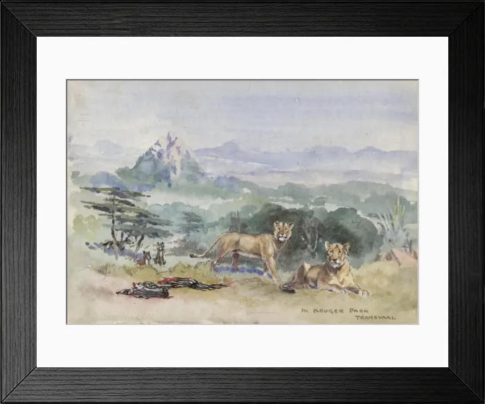 Framed Print : Kruger Park, Transvaal Framed Print : Kruger Park, Transvaal