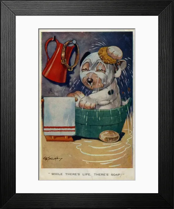 Framed Print : Bonzo sitting in the bath Framed Print : Bonzo sitting in the bath