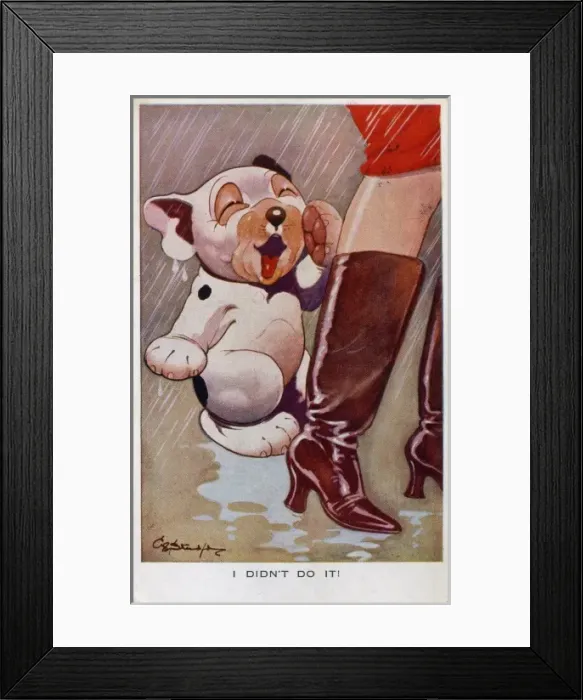 Framed Print : Bonzo standing in a puddle Framed Print : Bonzo standing in a puddle