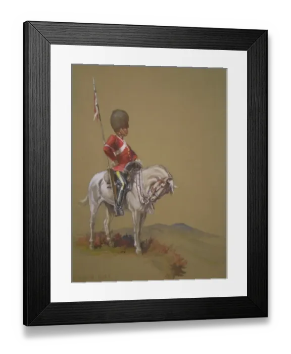 Framed Print : A Scots Grey Framed Print : A Scots Grey