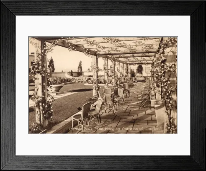 Framed Print : Selfridges Hanging Gardens of London Framed Print : Selfridges Hanging Gardens of London