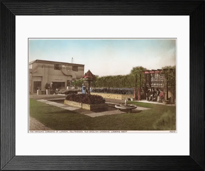 Framed Print : Selfridges Hanging Gardens of London Framed Print : Selfridges Hanging Gardens of London