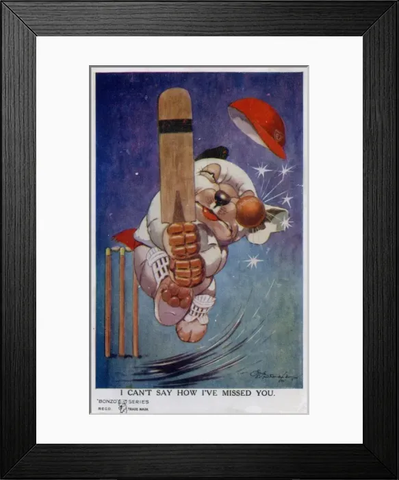 Framed Print : Bonzo playing cricket