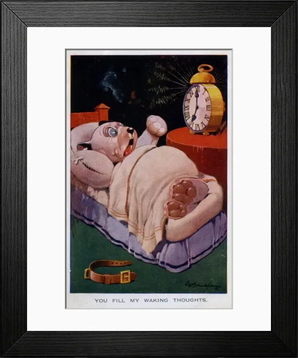 Framed Print : Bonzo being woken by alarm clock Framed Print : Bonzo being woken by alarm clock
