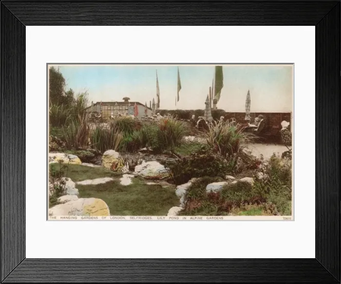 Framed Print : Selfridges Hanging Gardens of London Framed Print : Selfridges Hanging Gardens of London