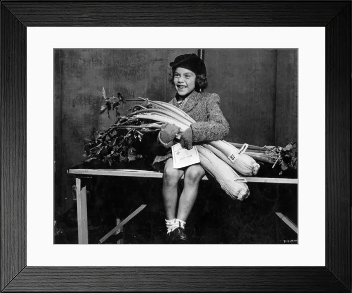 Framed Print : Small girl with prize winning celery