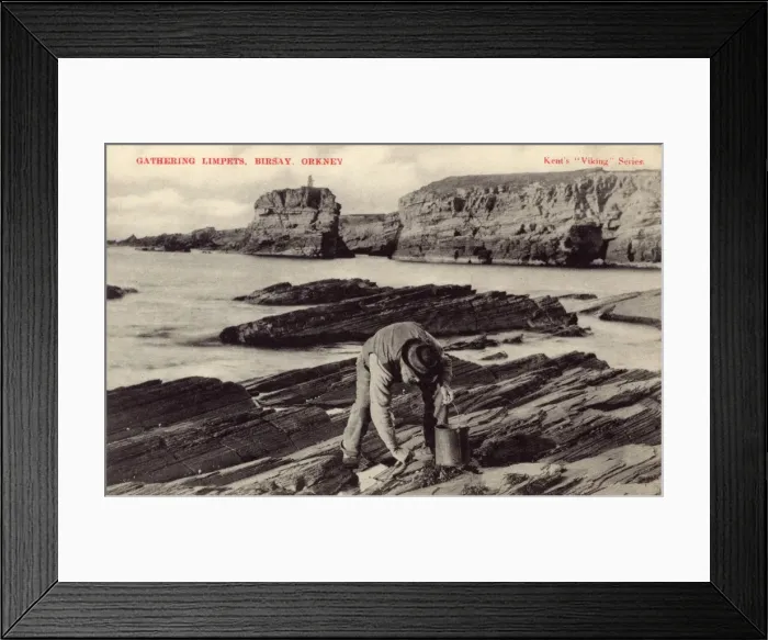 Framed Print : Gathering Limpets - Birsay, Orkney Framed Print : Gathering Limpets - Birsay, Orkney