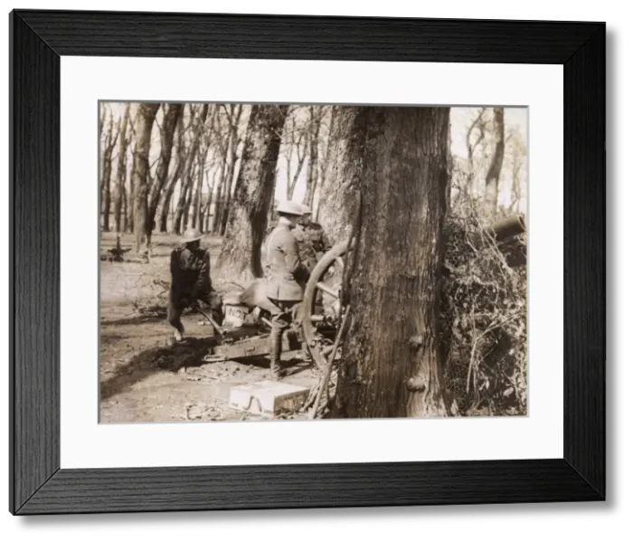 Framed Print : British artillerymen in a wood, Western Front, WW1 Framed Print : British artillerymen in a wood, Western Front, WW1