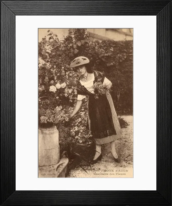 Framed Print : Picking Flowers - Cote d Azur, France Framed Print : Picking Flowers - Cote d Azur, France