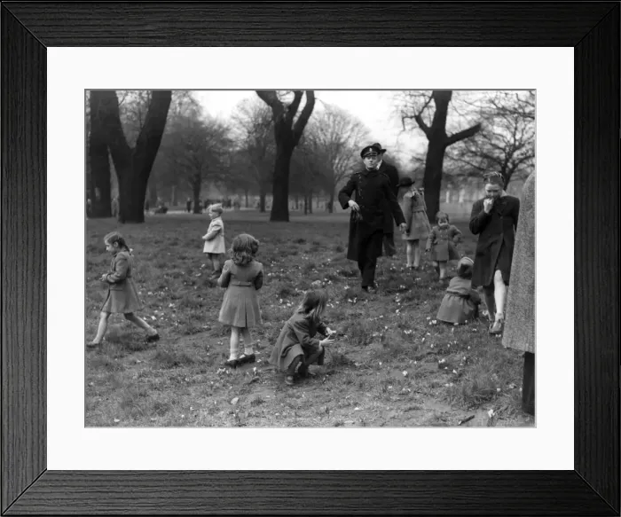 Framed Print : First crocuses of the year in St. James Park, 1948 Framed Print : First crocuses of the year in St. James Park, 1948