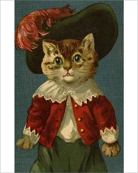 Cat in feathered hat by g h Thompson