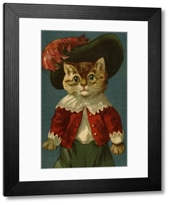 Framed Print : Cat in feathered hat by g h Thompson Framed Print : Cat in feathered hat by g h Thompson