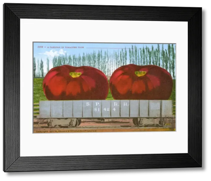 Framed Print : Rail car transporting giant tomatoes Framed Print : Rail car transporting giant tomatoes