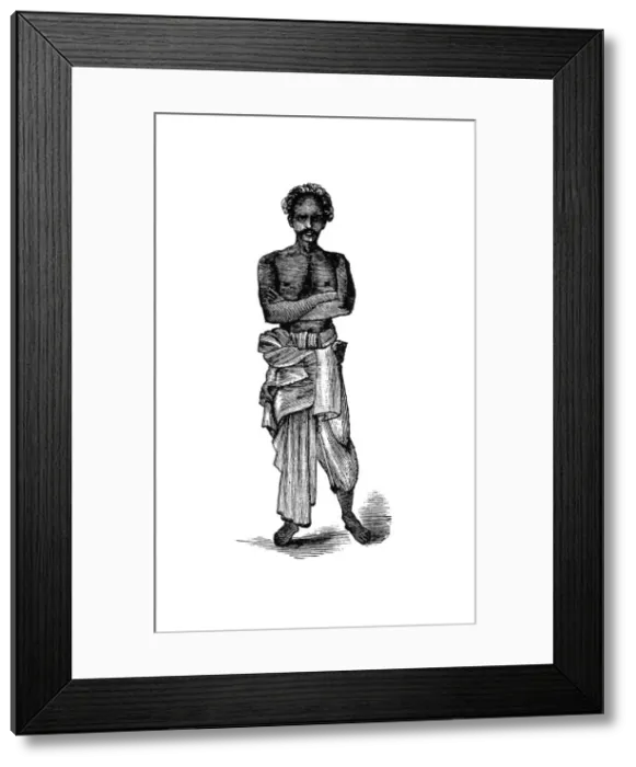 Framed Print : The Inveigler Framed Print : The Inveigler
