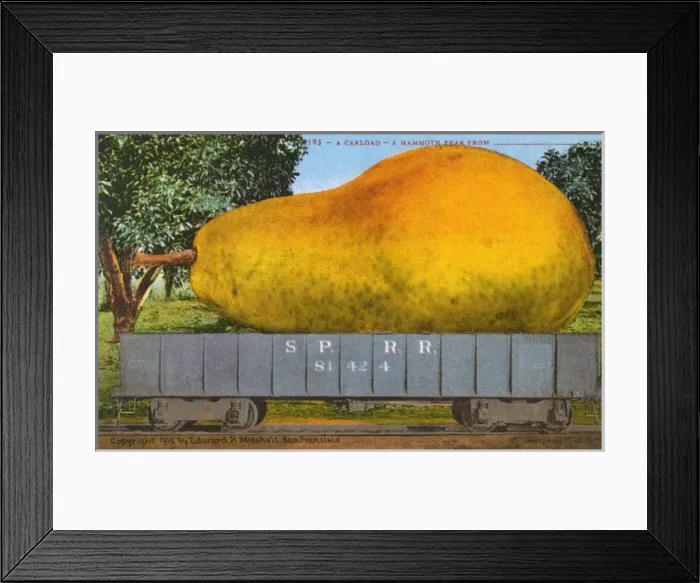 Framed Print : Rail car transporting a giant pear Framed Print : Rail car transporting a giant pear