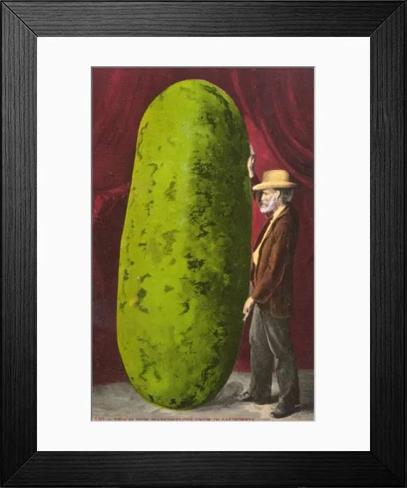 Framed Print : Californian farmer with an immense watermelon Framed Print : Californian farmer with an immense watermelon