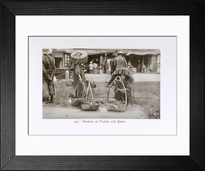 Framed Print : Malaysia - Kuala Lumpur - Poultry or game vendors Framed Print : Malaysia - Kuala Lumpur - Poultry or game vendors