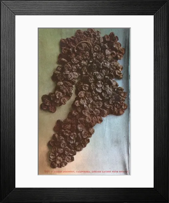 Framed Print : Raisin Industry, California, US