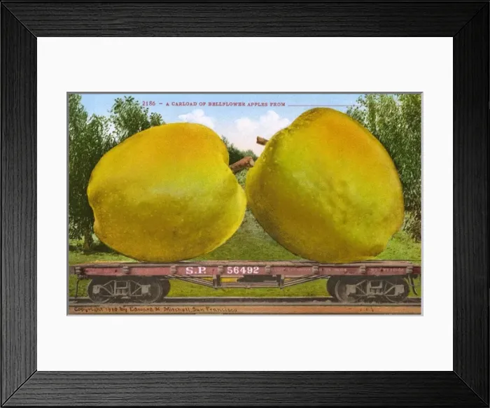 Framed Print : Rail car transporting giant Bellflower apples Framed Print : Rail car transporting giant Bellflower apples