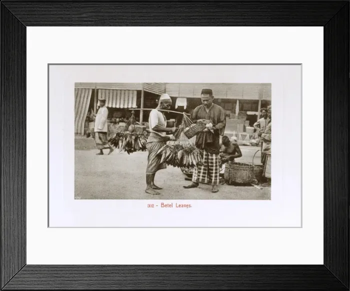 Framed Print : Malaysia - Kuala Lumpur - Street seller of Betel Leaves Framed Print : Malaysia - Kuala Lumpur - Street seller of Betel Leaves