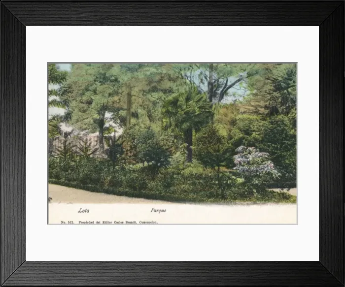 Framed Print : Chile - Lota -The Public Botanical Park / Gardens Framed Print : Chile - Lota -The Public Botanical Park / Gardens