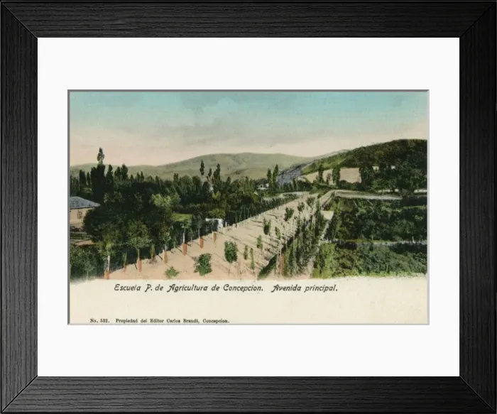 Framed Print : Chile - Concepcion - Agricultural School - Principal Street Framed Print : Chile - Concepcion - Agricultural School - Principal Street