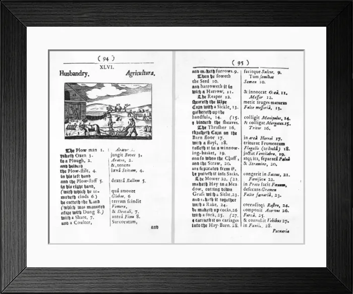 Framed Print : Orbis Pictus, Farming Framed Print : Orbis Pictus, Farming