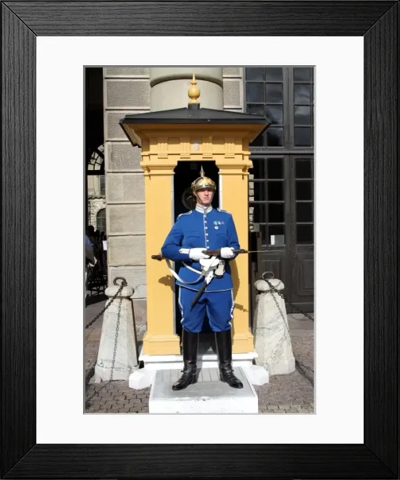 Framed Print : Guard of the Hogvakten, Stockholm, Sweden Framed Print : Guard of the Hogvakten, Stockholm, Sweden