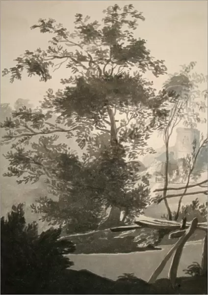 Country scene with tree